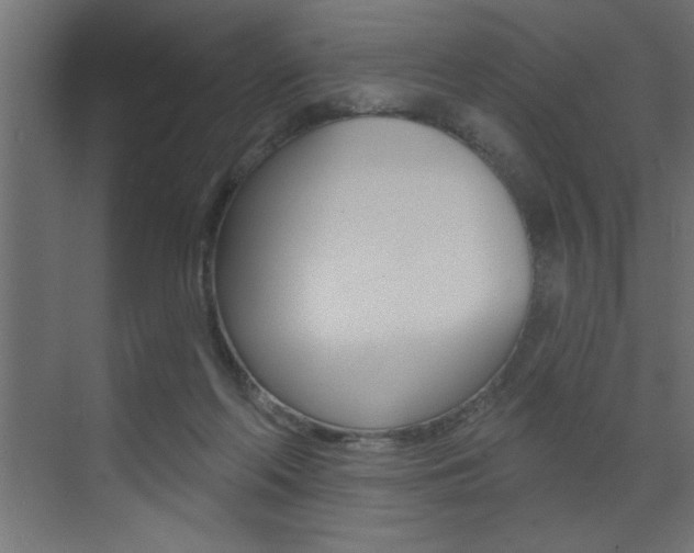 X0000073520214200607310958