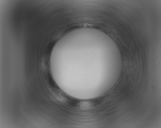 X0000073520218200607310958