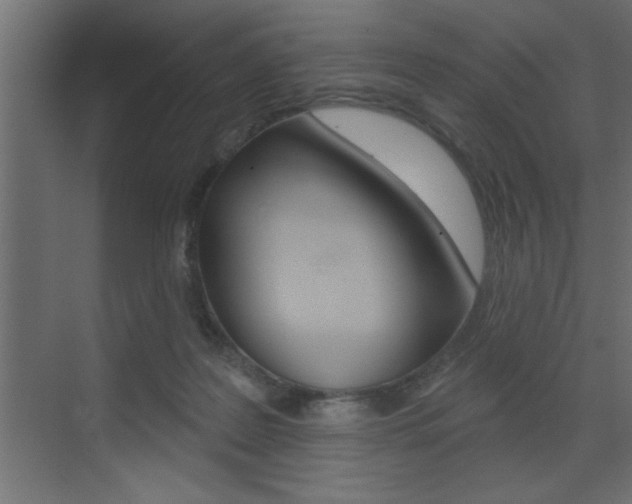 X0000073520219200607310958