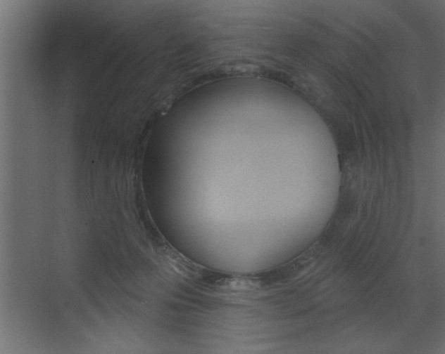 X0000073520223200607310958