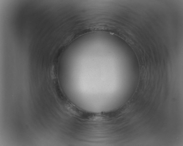 X0000073520224200607310958