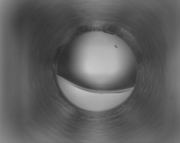 X0000073520225200607310958