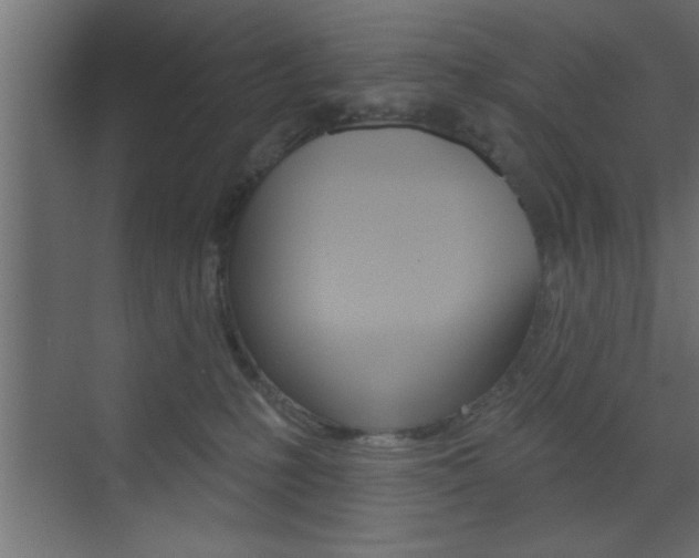 X0000073520231200607310958