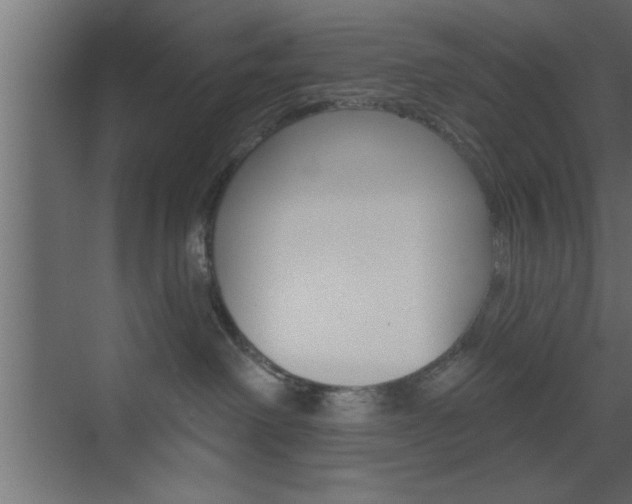 X0000073520238200607310958