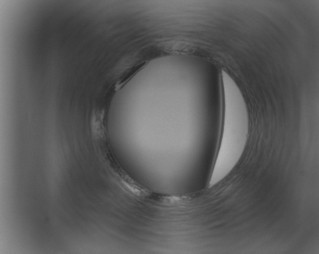 X0000073520239200607310958