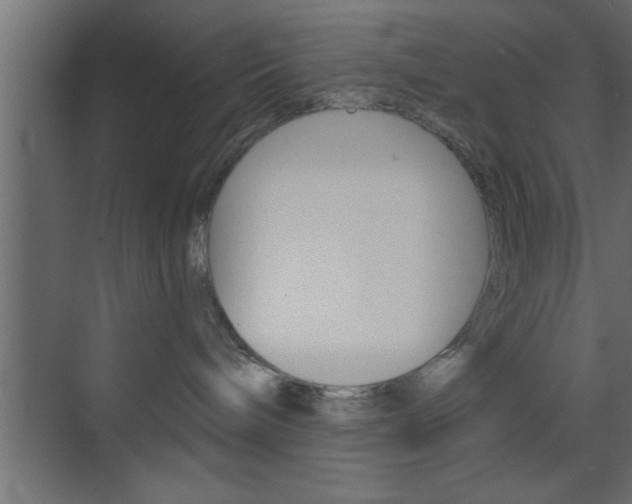 X0000073520240200607310958