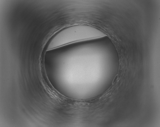 X0000073520242200607310957