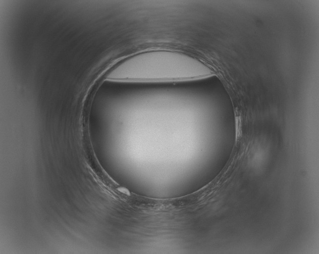 X0000073520243200607310957