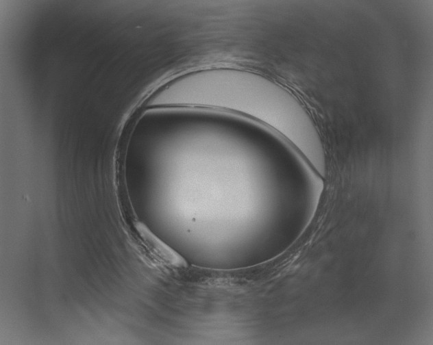 X0000073520244200607310957