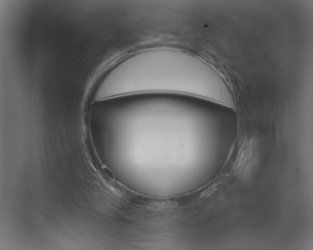 X0000073520245200607310957