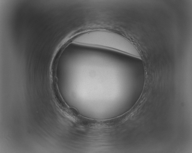 X0000073520246200607310957