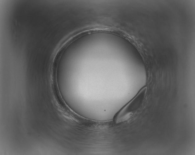 X0000073520247200607310957