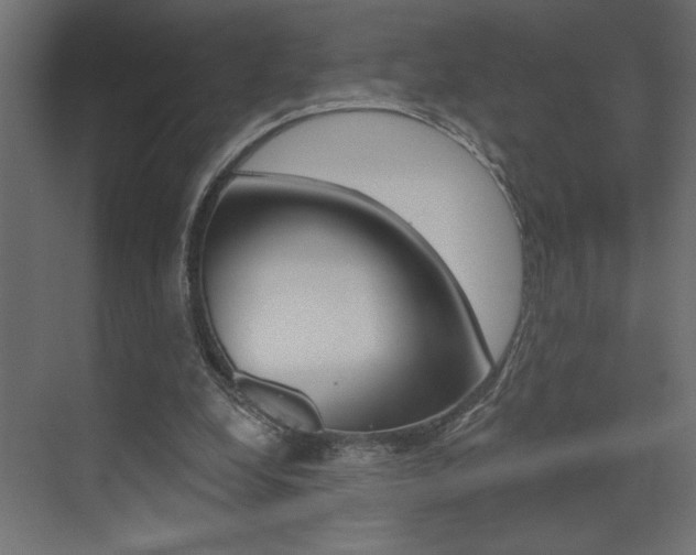 X0000073520248200607310957