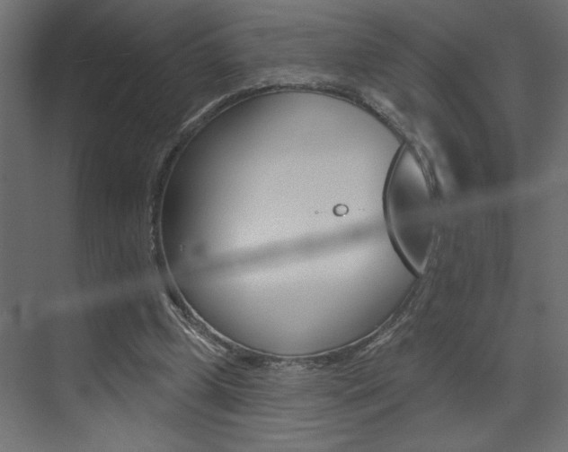 X0000073520249200607310957