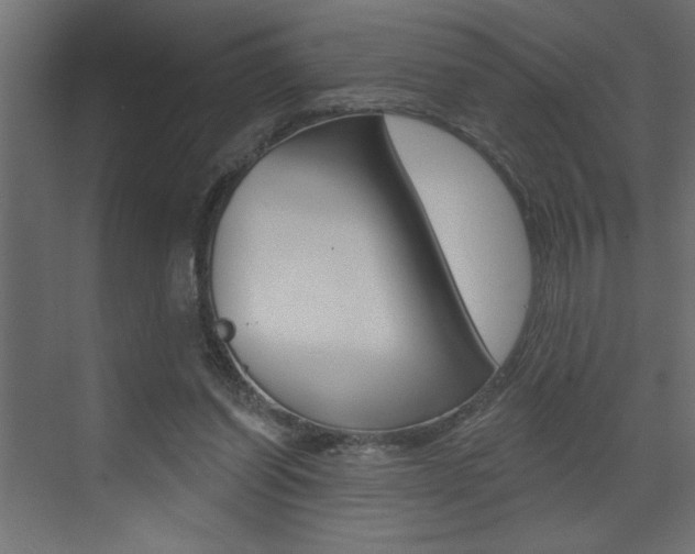 X0000073520254200607310957