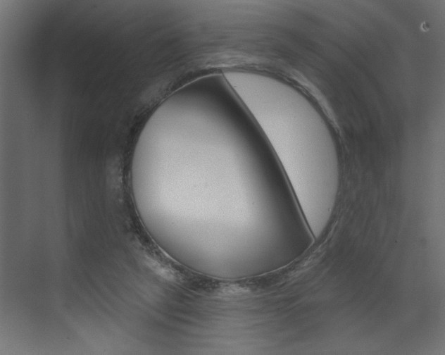 X0000073520257200607310957