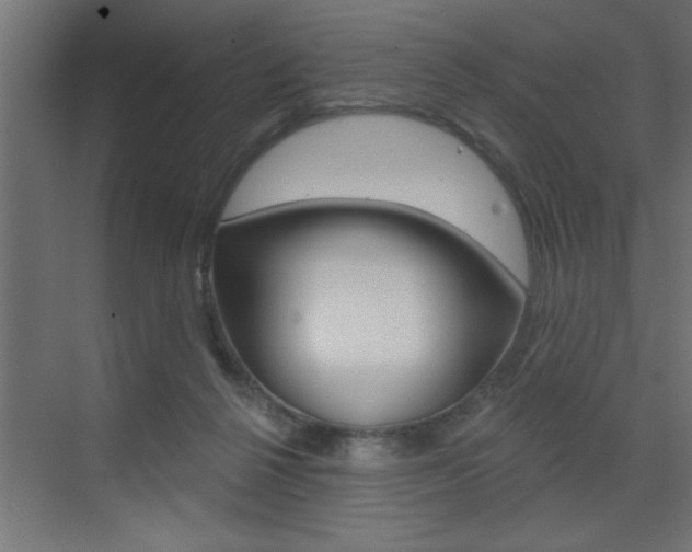 X0000073520264200607310957