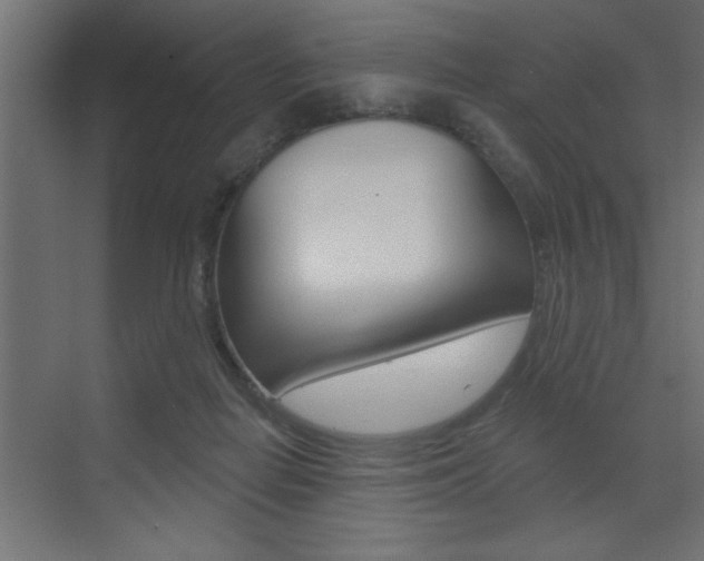 X0000073520266200607310957