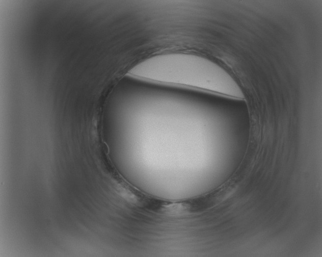 X0000073520269200607310957