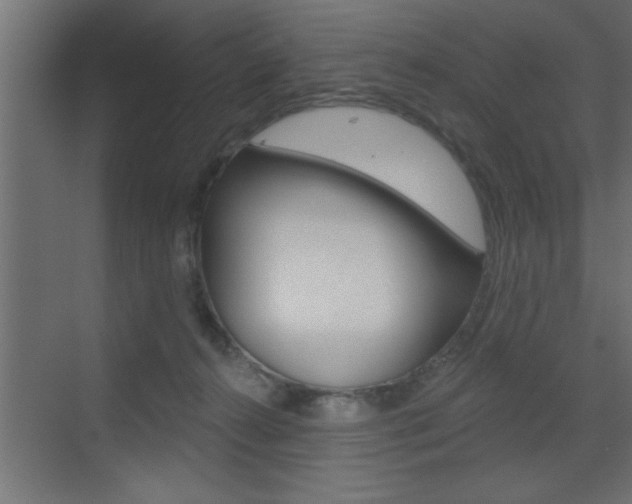 X0000073520272200607310957