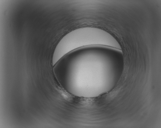 X0000073520288200607310957