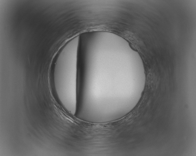 X0000073520290200607310957