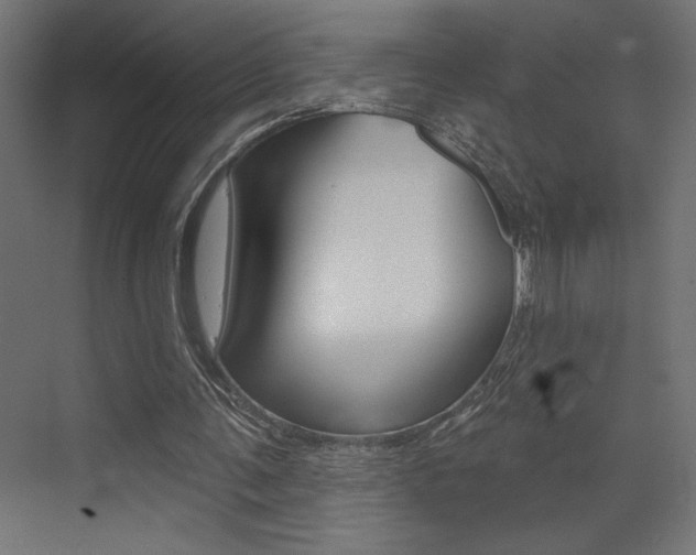 X0000073520291200607310957