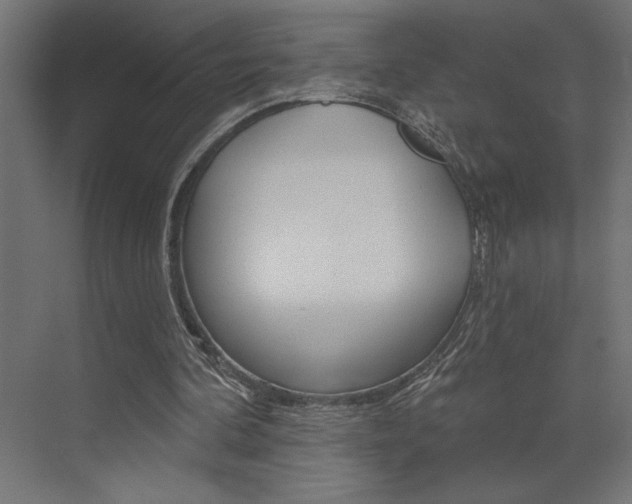 X0000073520292200607310957