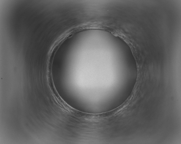 X0000073520293200607310957