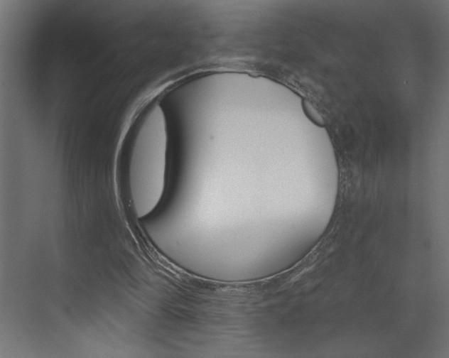 X0000073520294200607310957