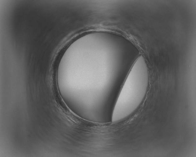 X0000073520295200607310957