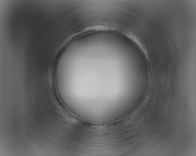 X0000073520297200607310957