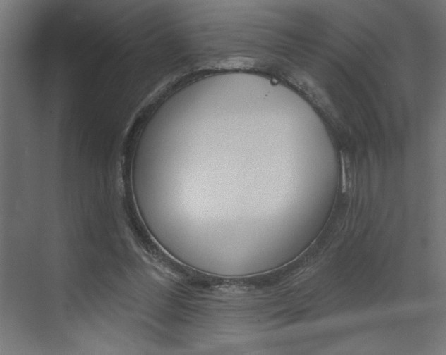 X0000073520300200607310957