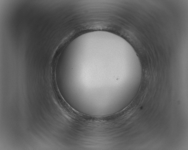 X0000073520304200607310956
