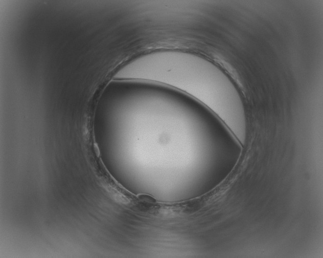 X0000073520305200607310956