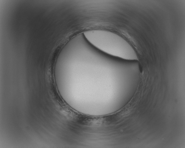 X0000073520306200607310956