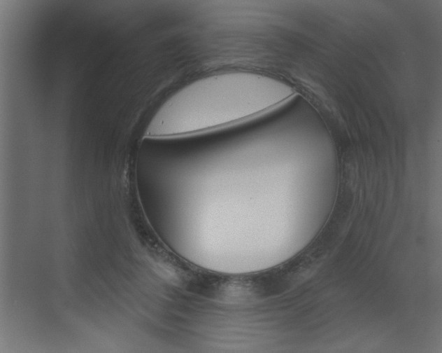 X0000073520308200607310956