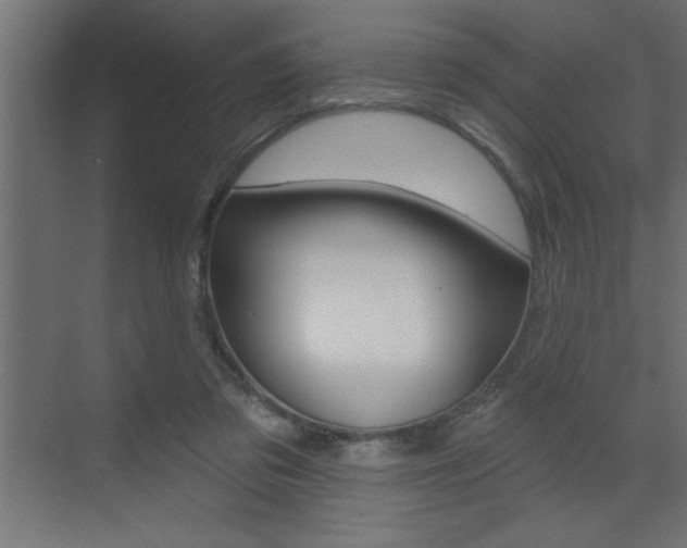 X0000073520309200607310956