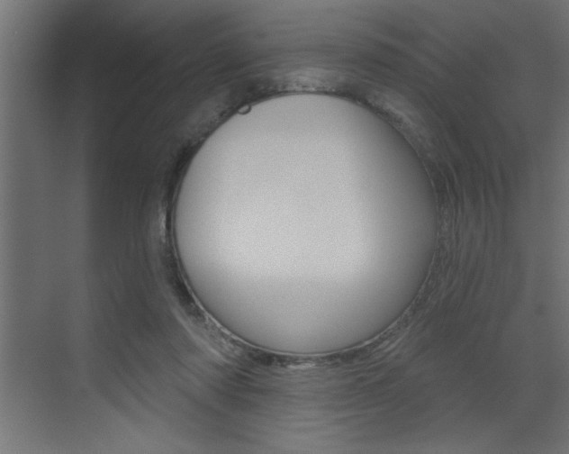 X0000073520310200607310956