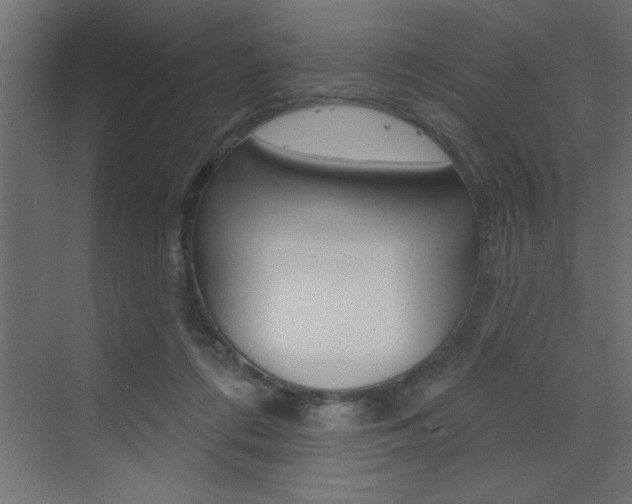 X0000073520312200607310956
