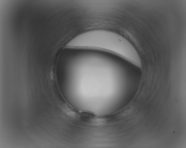 X0000073520313200607310956