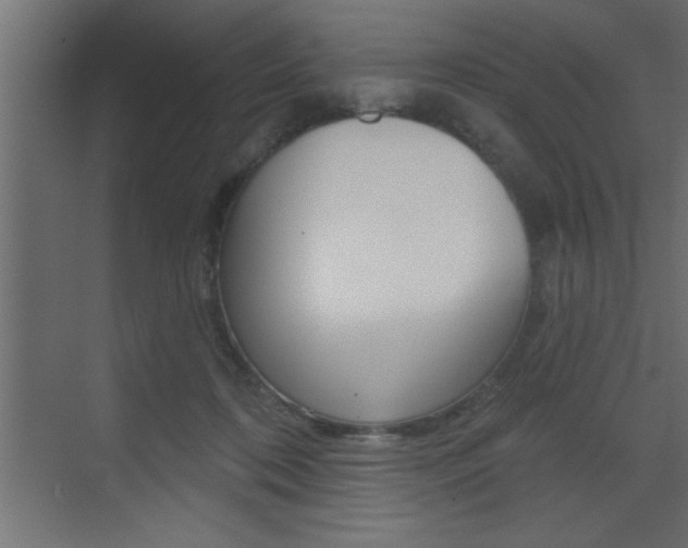 X0000073520316200607310956