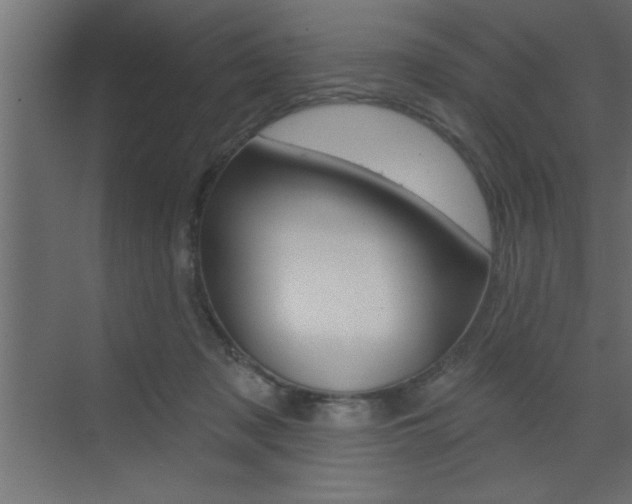 X0000073520317200607310956