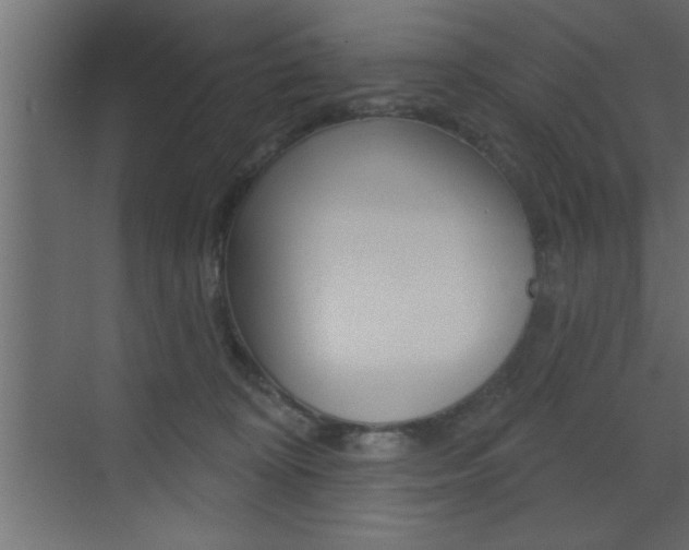 X0000073520324200607310956
