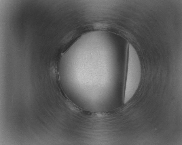 X0000073520329200607310956