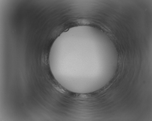 X0000073520330200607310956