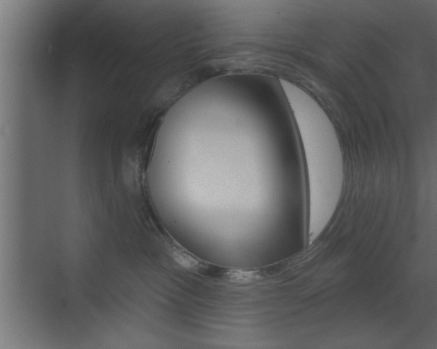 X0000073520333200607310956
