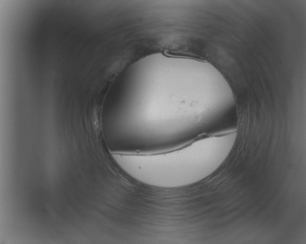 X0000073520335200607310956
