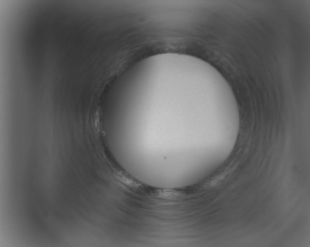 X0000073520336200607310956