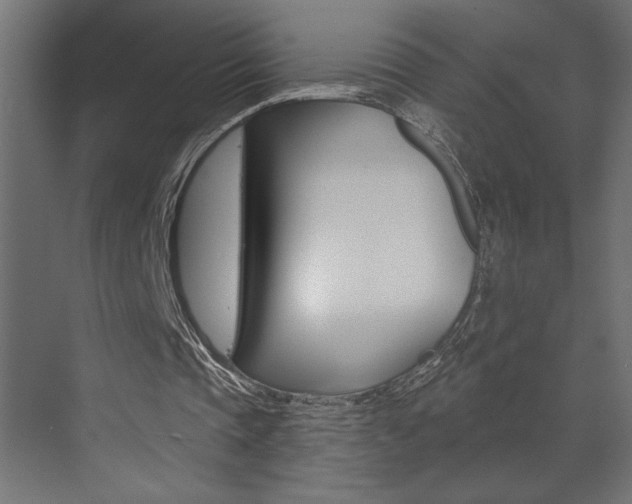 X0000073520337200607310955